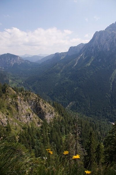 Blick nach Süden vom Tegelberg in die Ammergauer Alpen