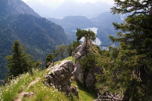 Gratkopf am Tegelberg mit Blick auf das Tal