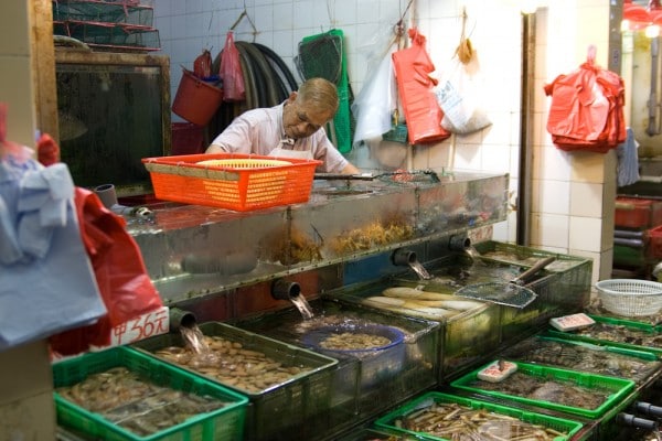 Fischmarkt in Sai Kung